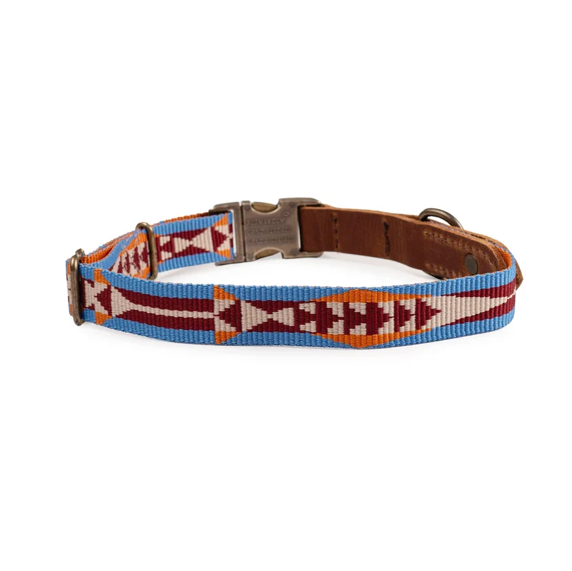shopdogdish640244