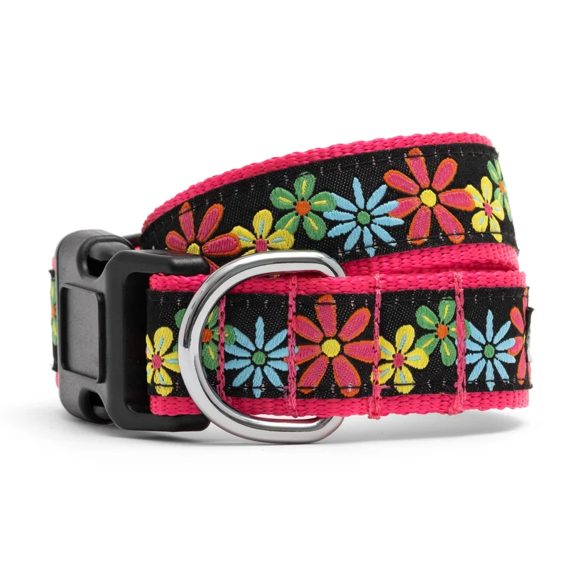 shopdogdish640497