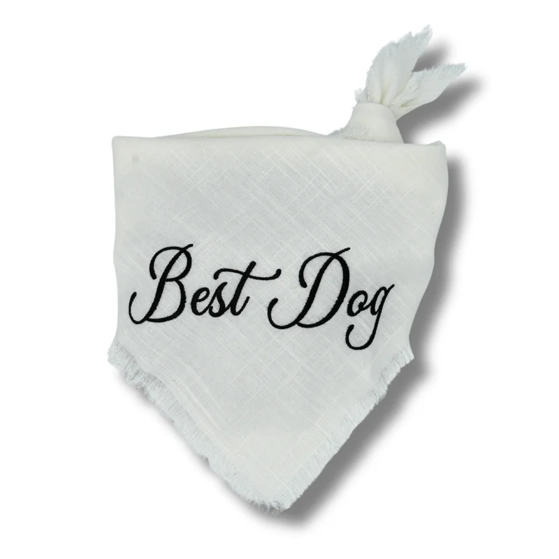 shopdogdish640646