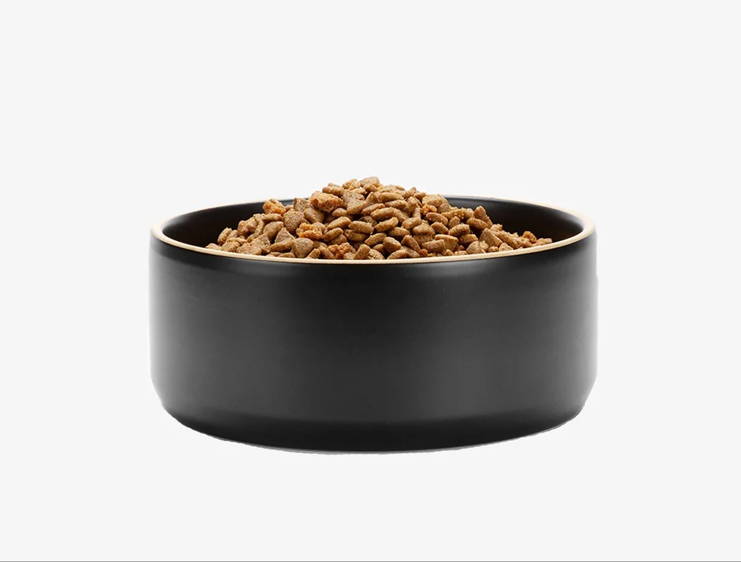 shopdogdish640737