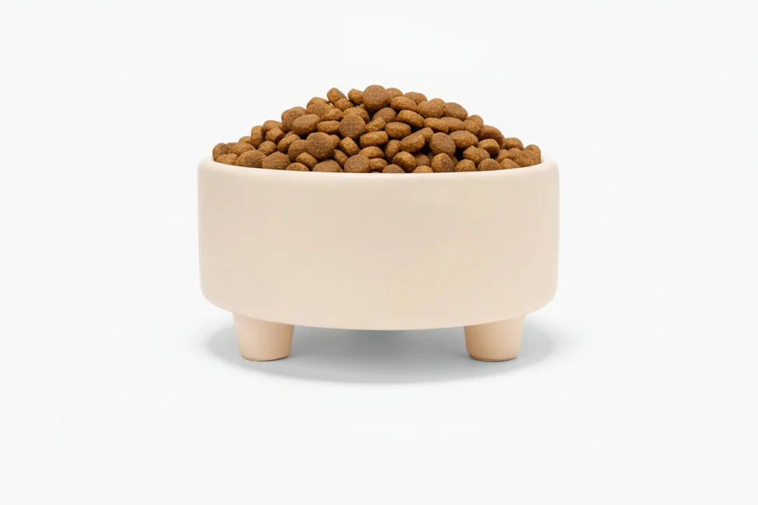 shopdogdish640742