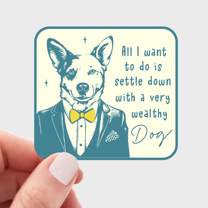 shopdogdish641172