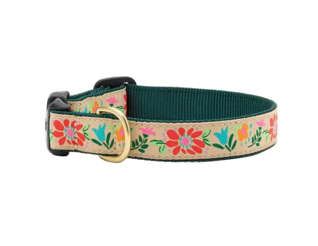 shopdogdish641278