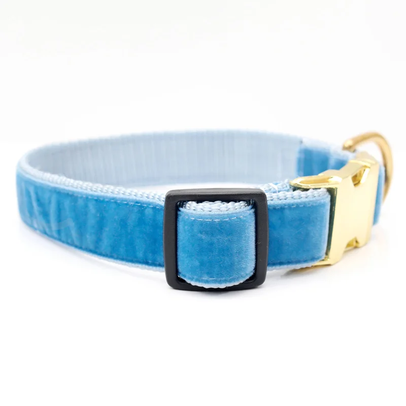 shopdogdish641430