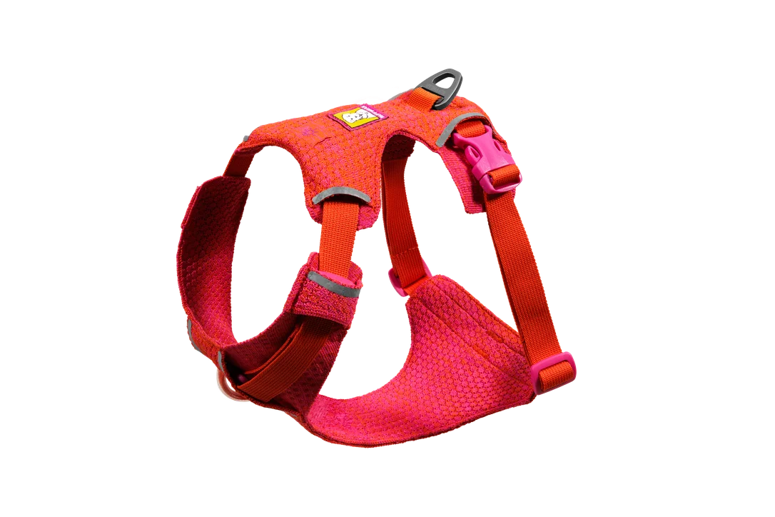 shopdogdish641775
