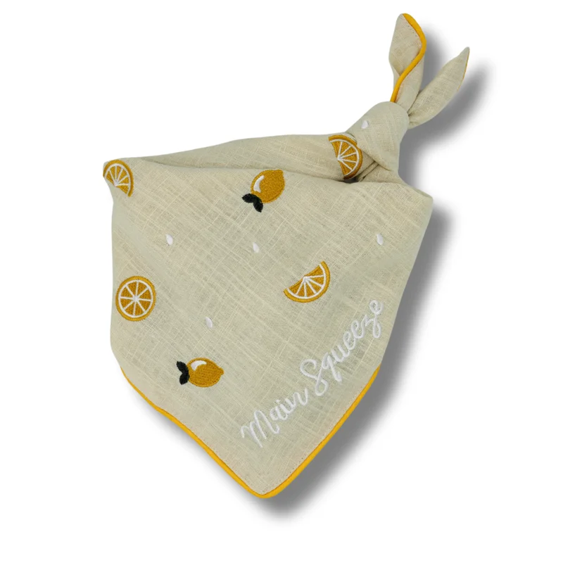 shopdogdish641841