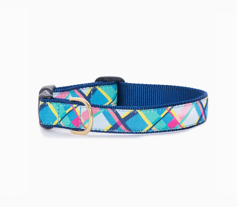 shopdogdish641866