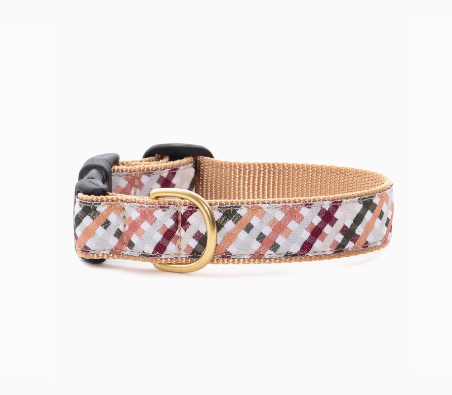 shopdogdish641878