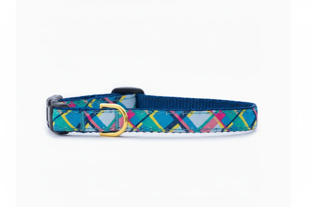 shopdogdish641897