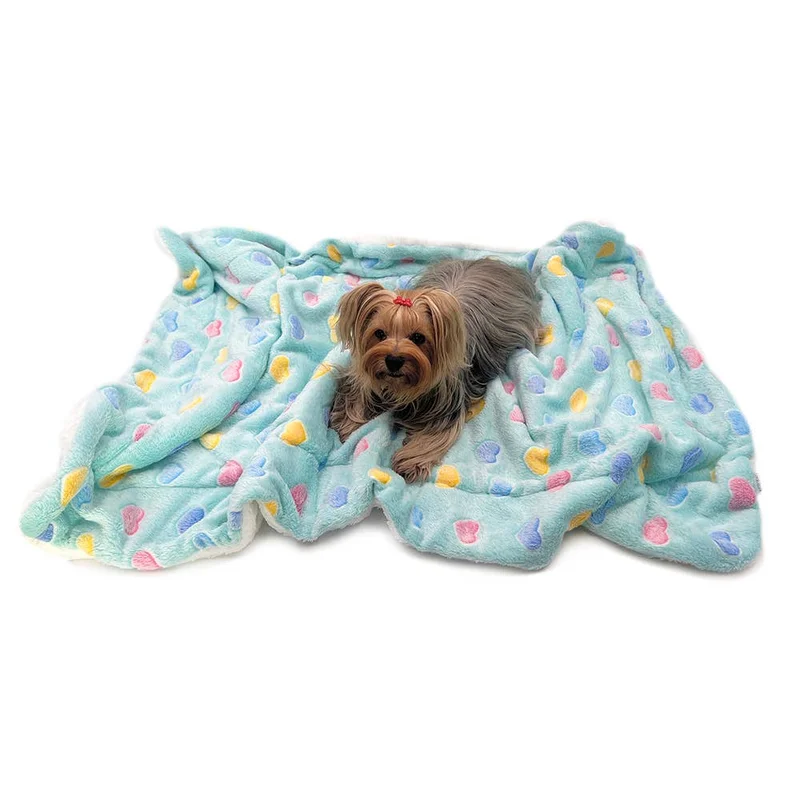 shopdogdish641903