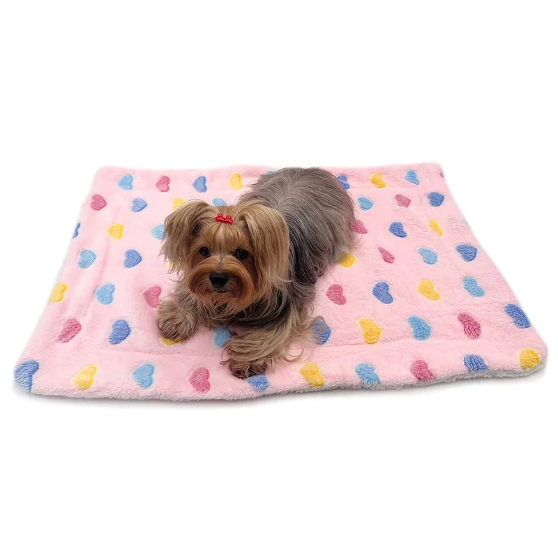 shopdogdish641906