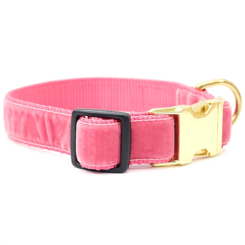 shopdogdish641952
