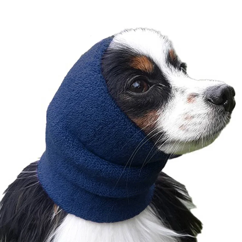 shopdogdish642371