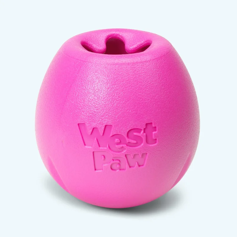 shopdogdish642491