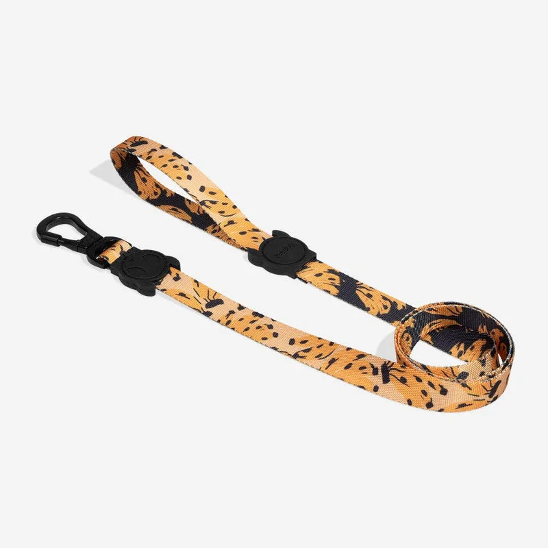 shopdogdish642560