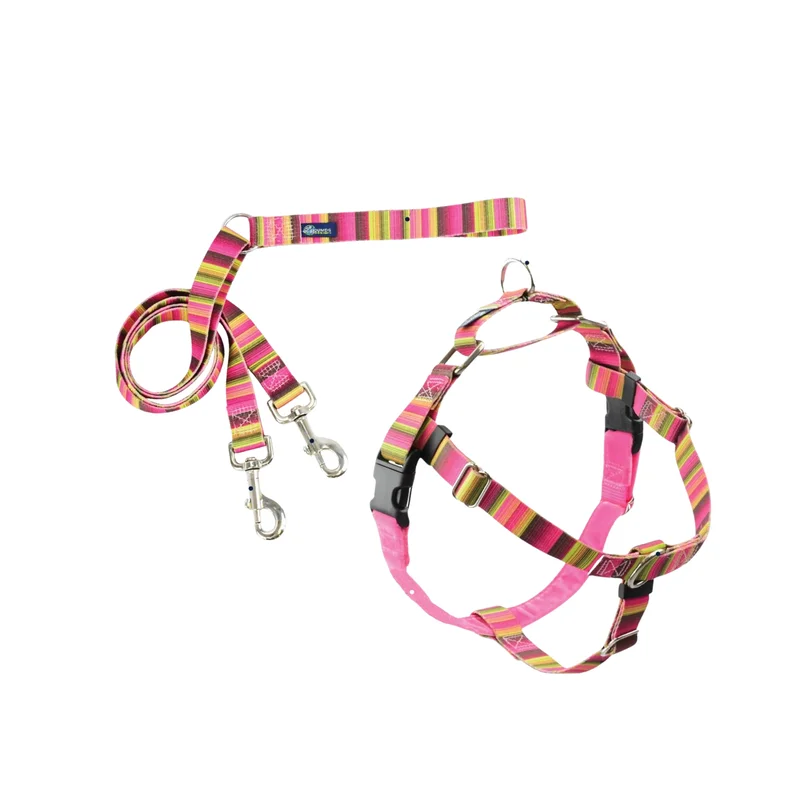 tabbyandjacks-648102