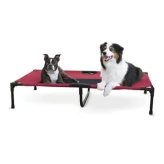 tabbyandjacks-651507