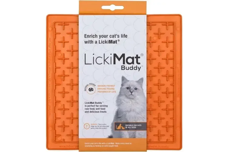 tabbyandjacks-652260