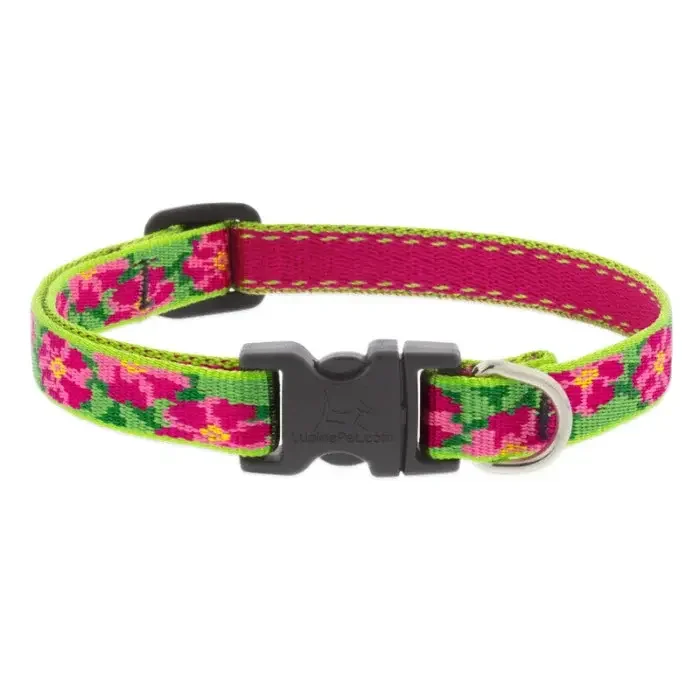 tabbyandjacks-652416