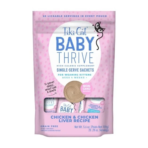 tabbyandjacks-655269