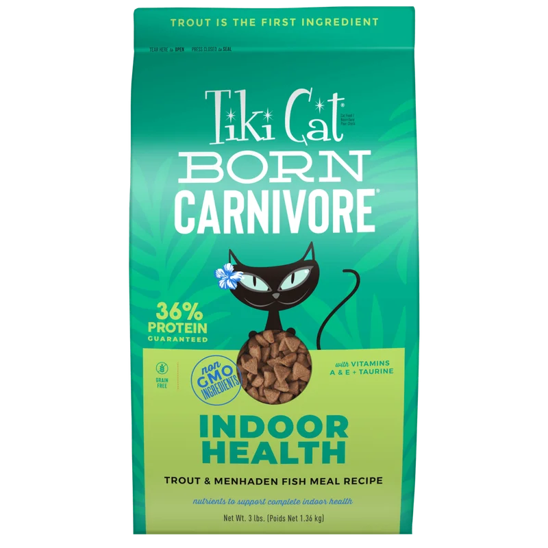 tabbyandjacks-655410