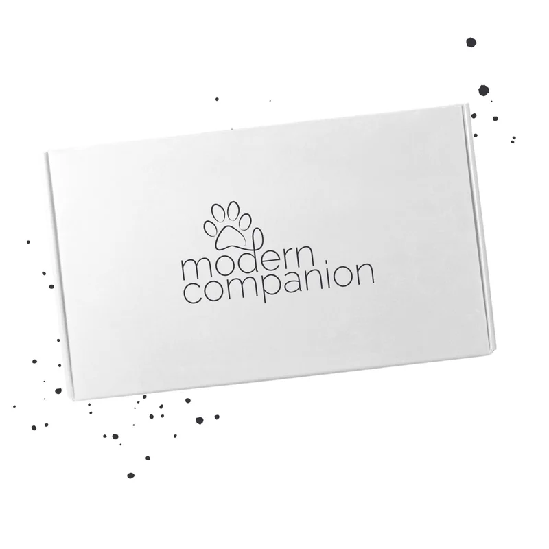 themoderncompanion638748