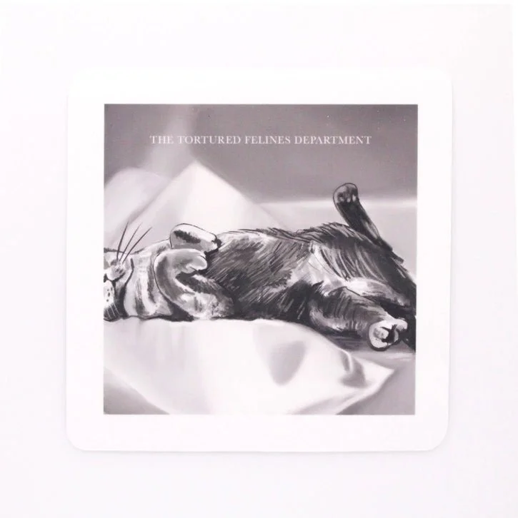 themoderncompanion639901