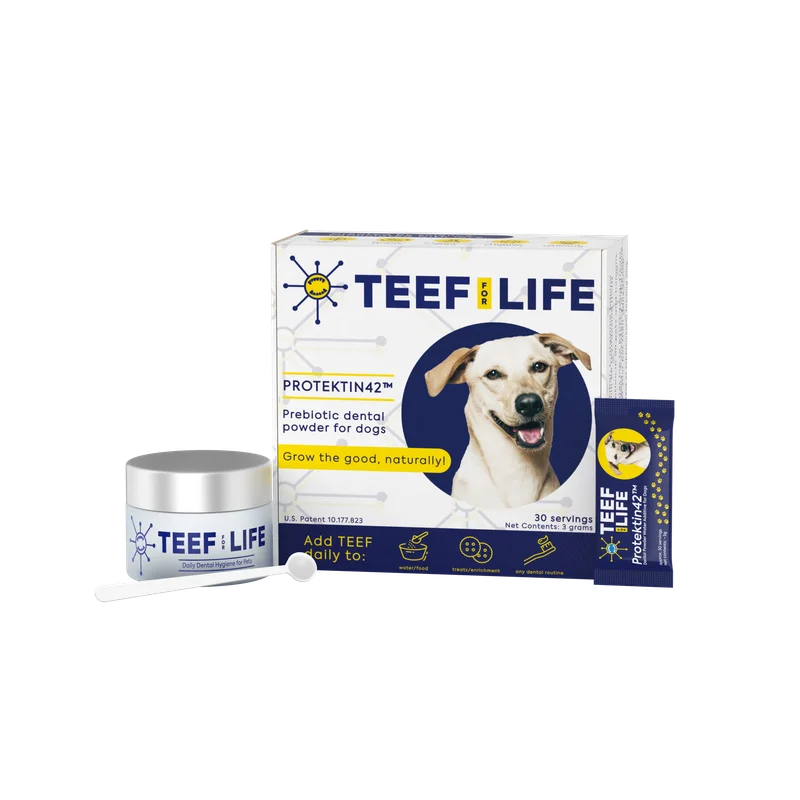 thepetbeastro-653277