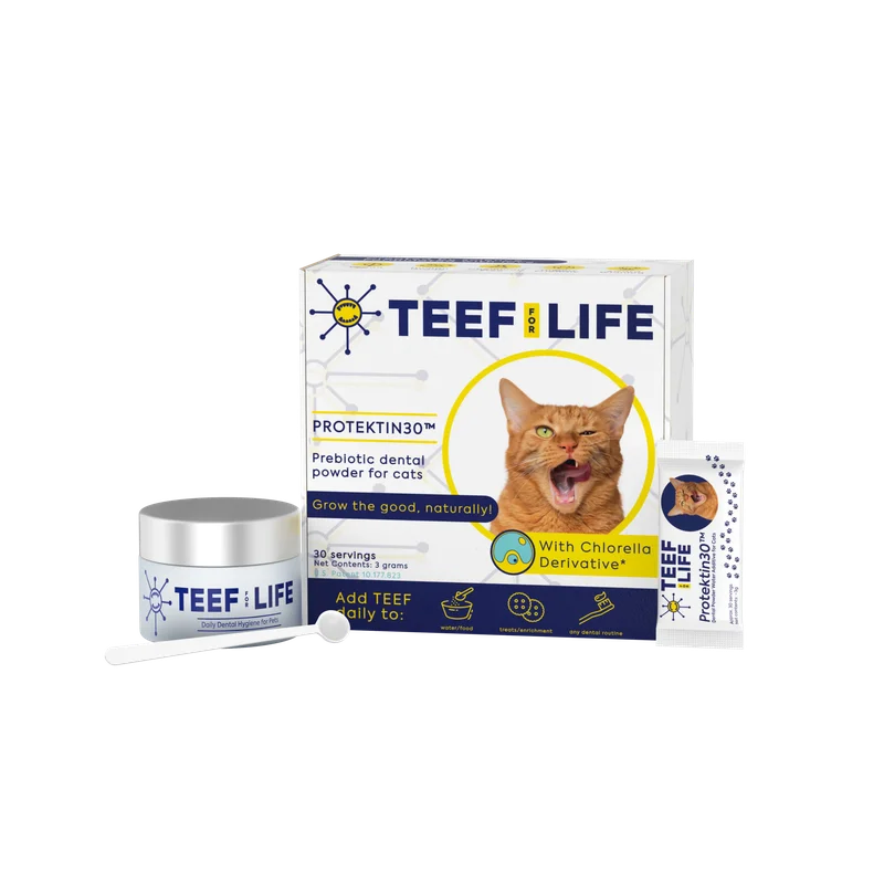 thepetbeastro-679920